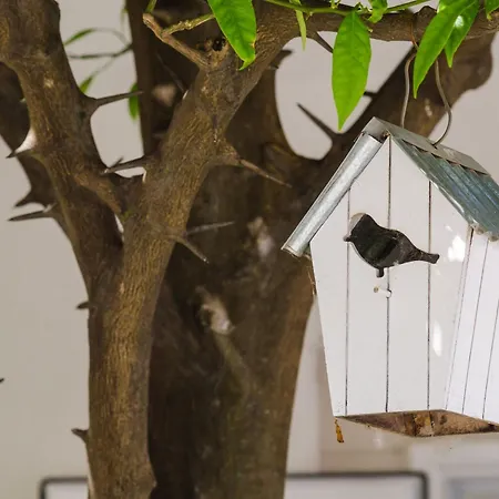 Apartment & Bari I - With Balcony And View First Floor -apt 10 *