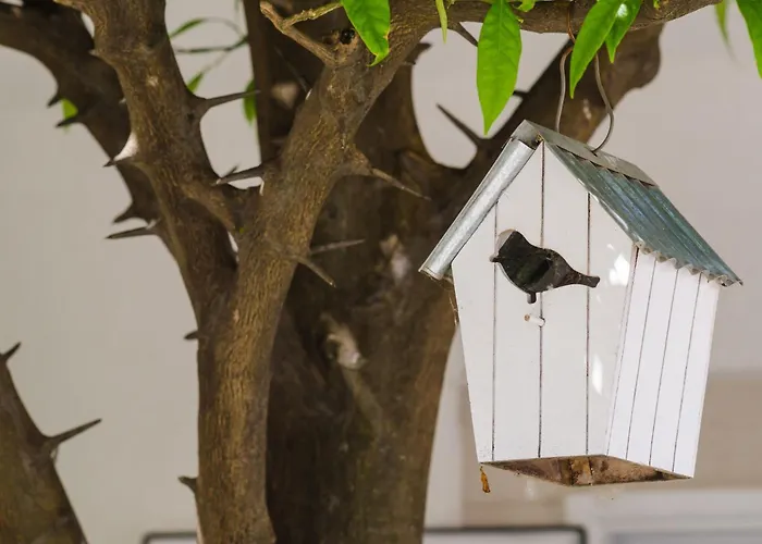 Apartament & Bari I - With Balcony And View First Floor -apt 10 *